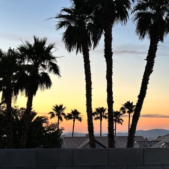 vegas_vibe_karl